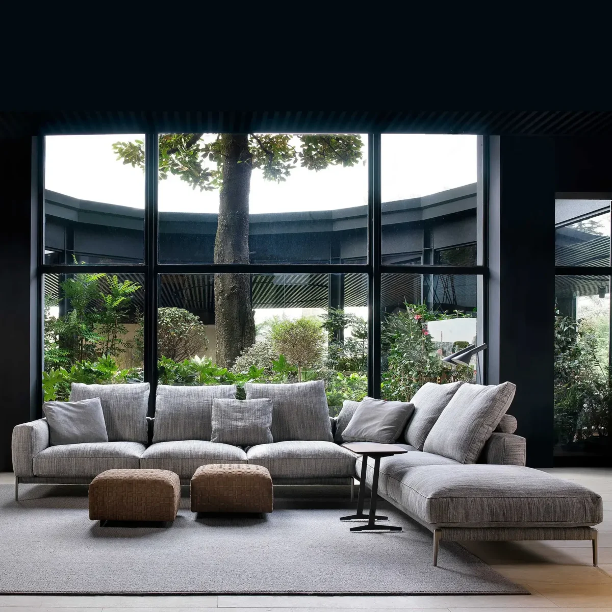 ROMEO - Image 5