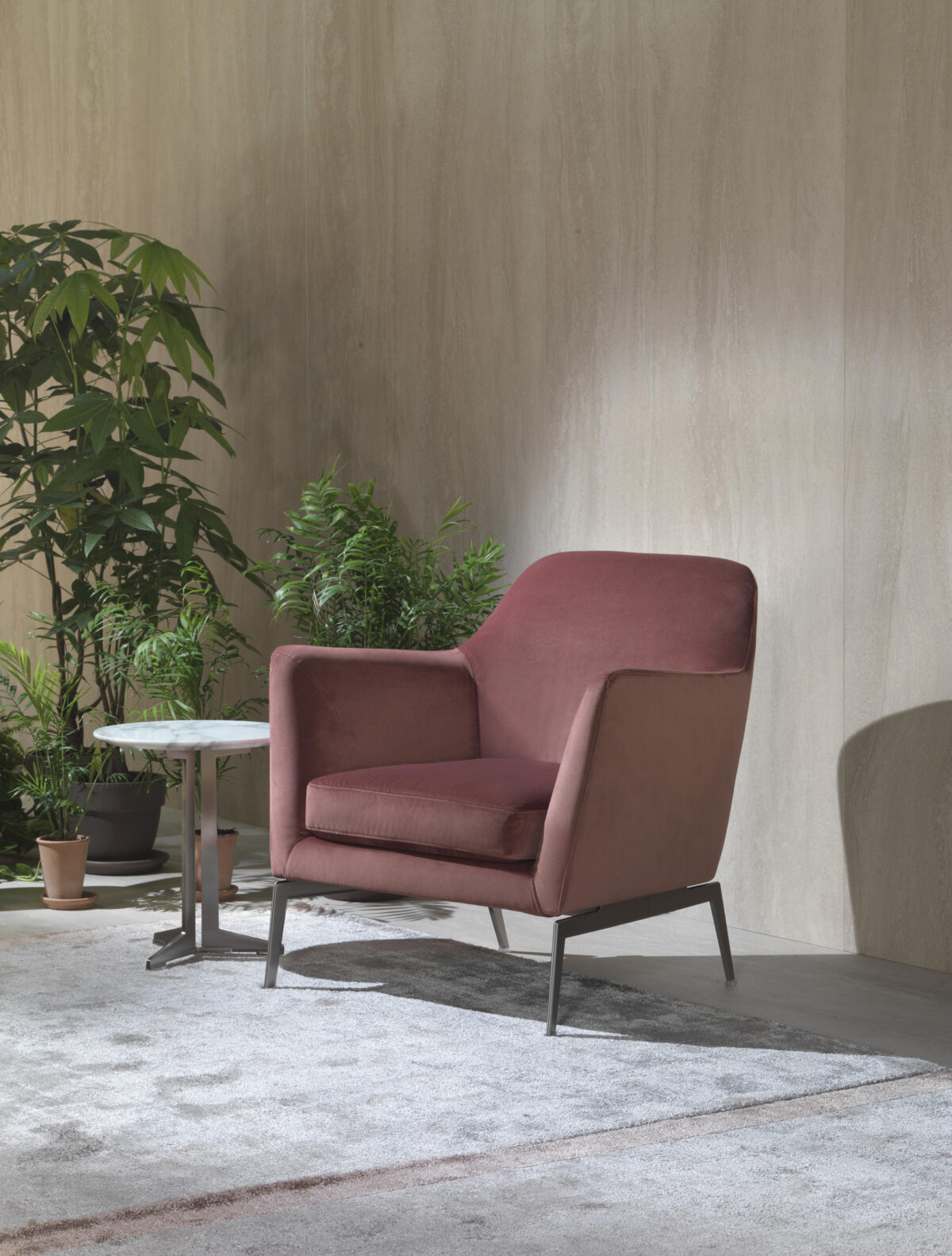 LUCE - Image 3
